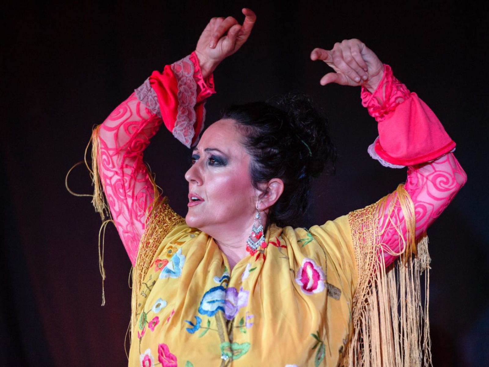 Archivo fotográfico de Rosario y Vicente Flamenco Compañía · 26