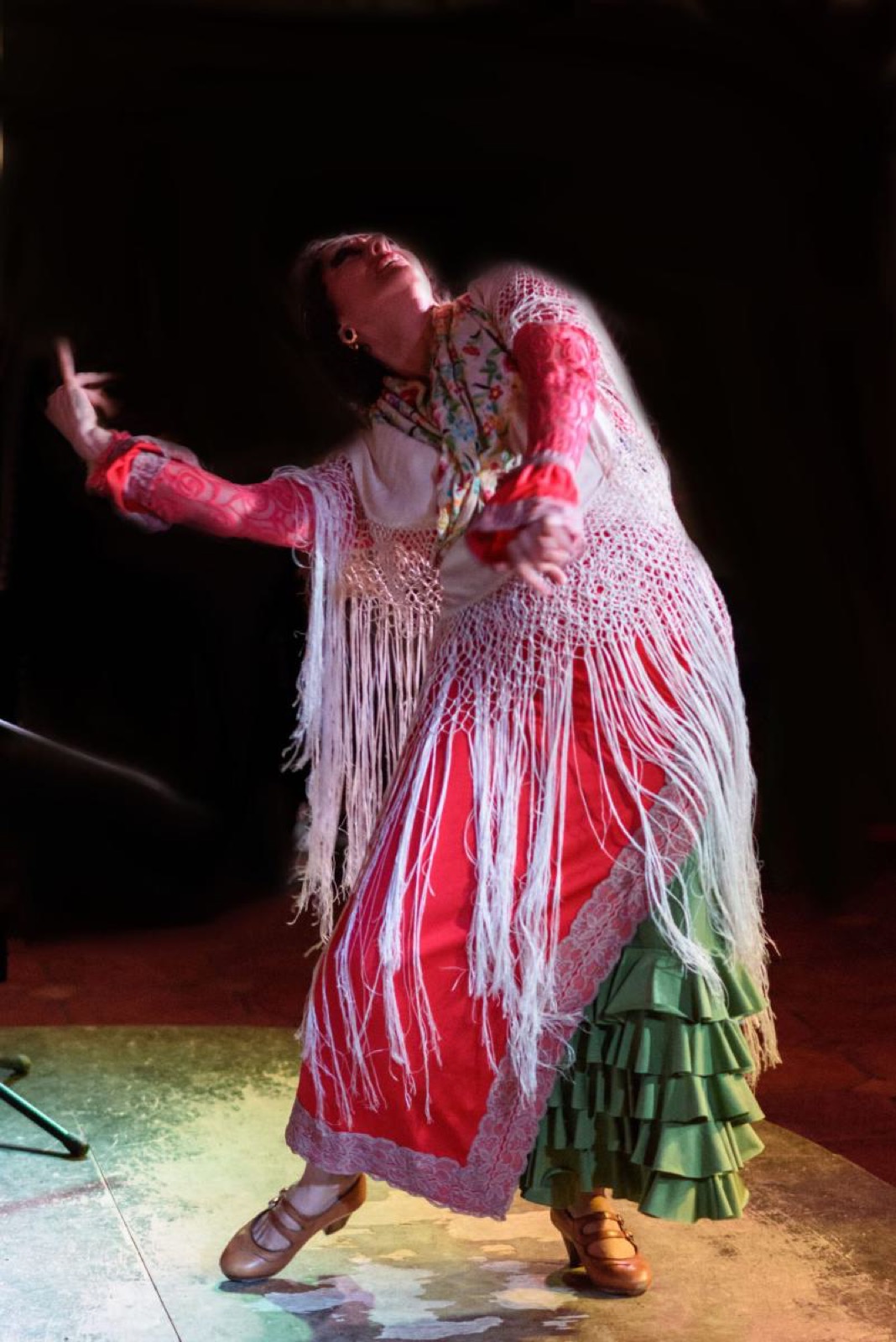 Archivo fotográfico de Rosario y Vicente Flamenco Compañía · 39