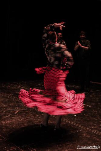 15271486_10208277999091084_446400644_o