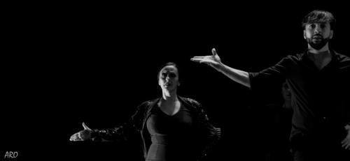 15578081_10211752755484222_651298279638484027_o